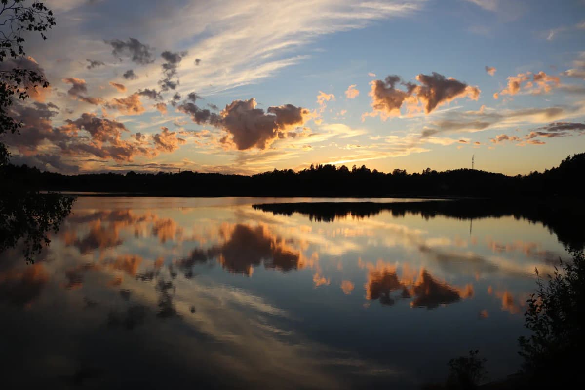 Professionell radonmätning i Sverige