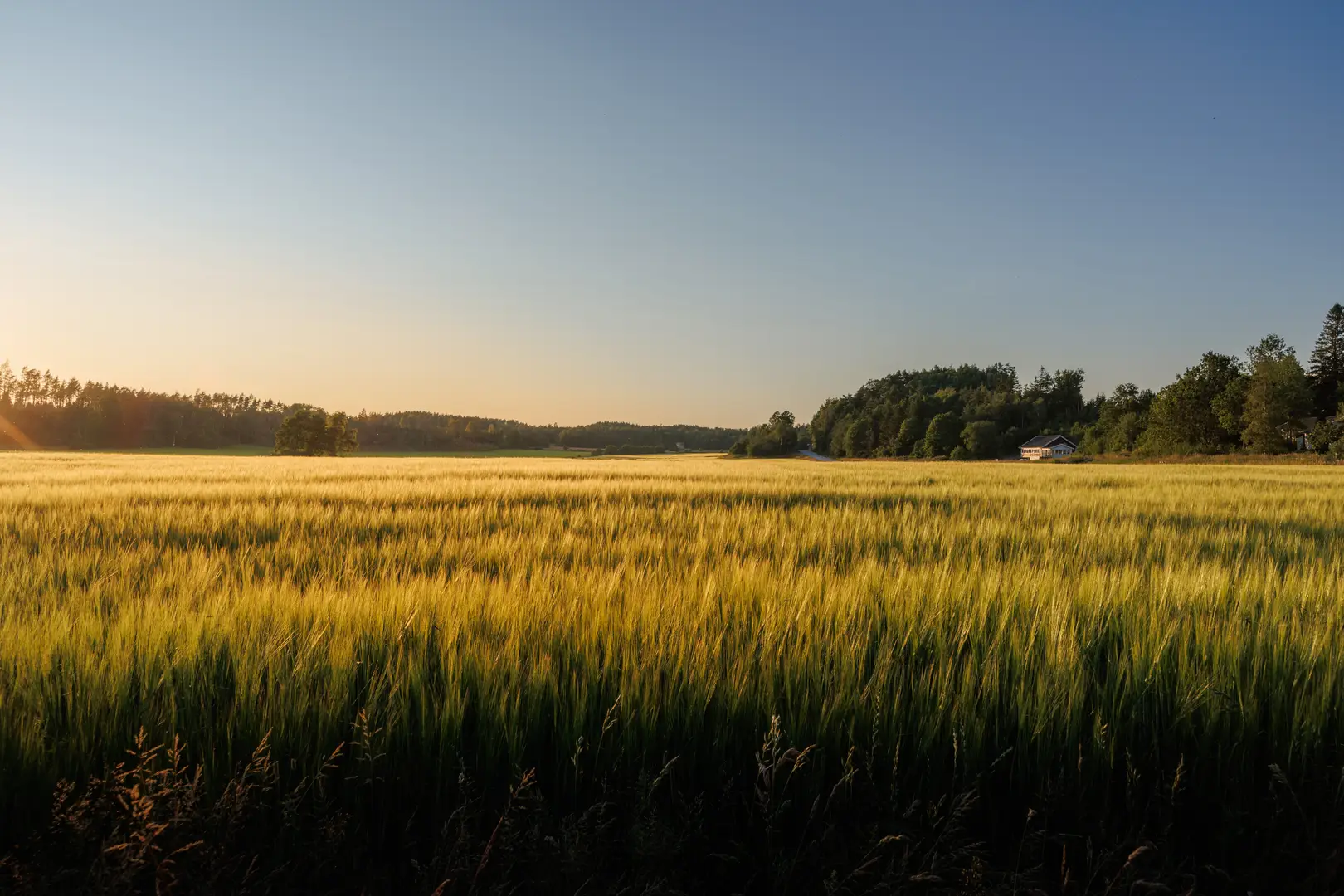 Experter på ventilationsrengöring i Sverige